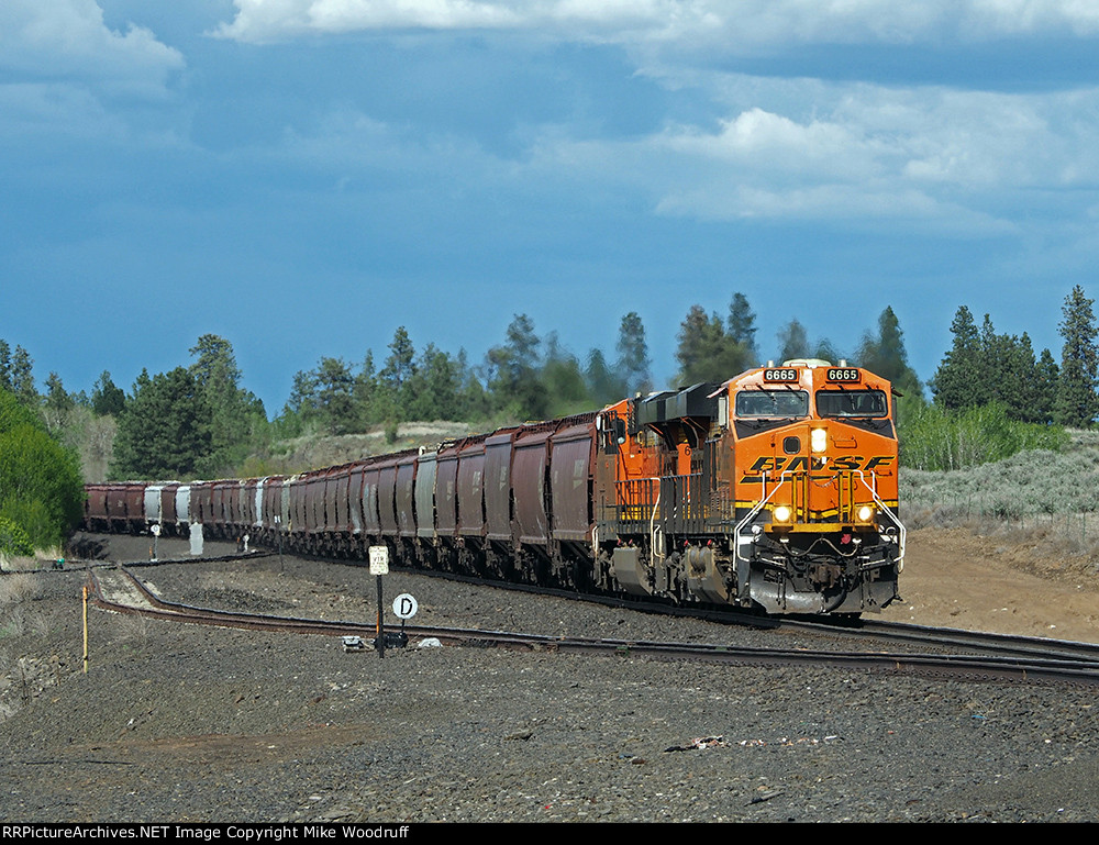 BNSF 6665